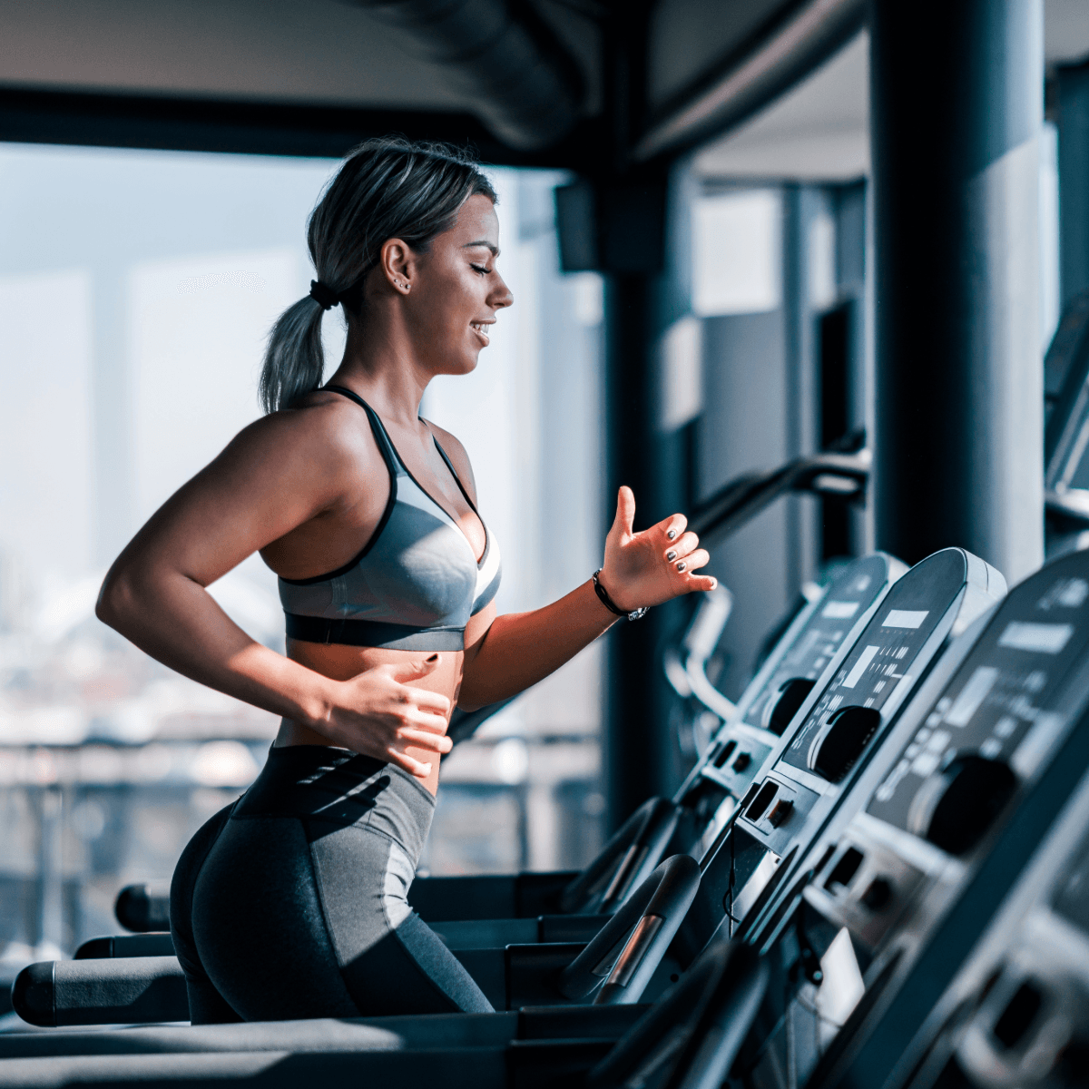 Fitness collection