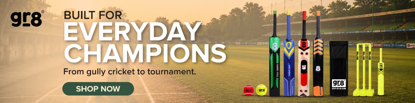 GR8 cricket promotional banner