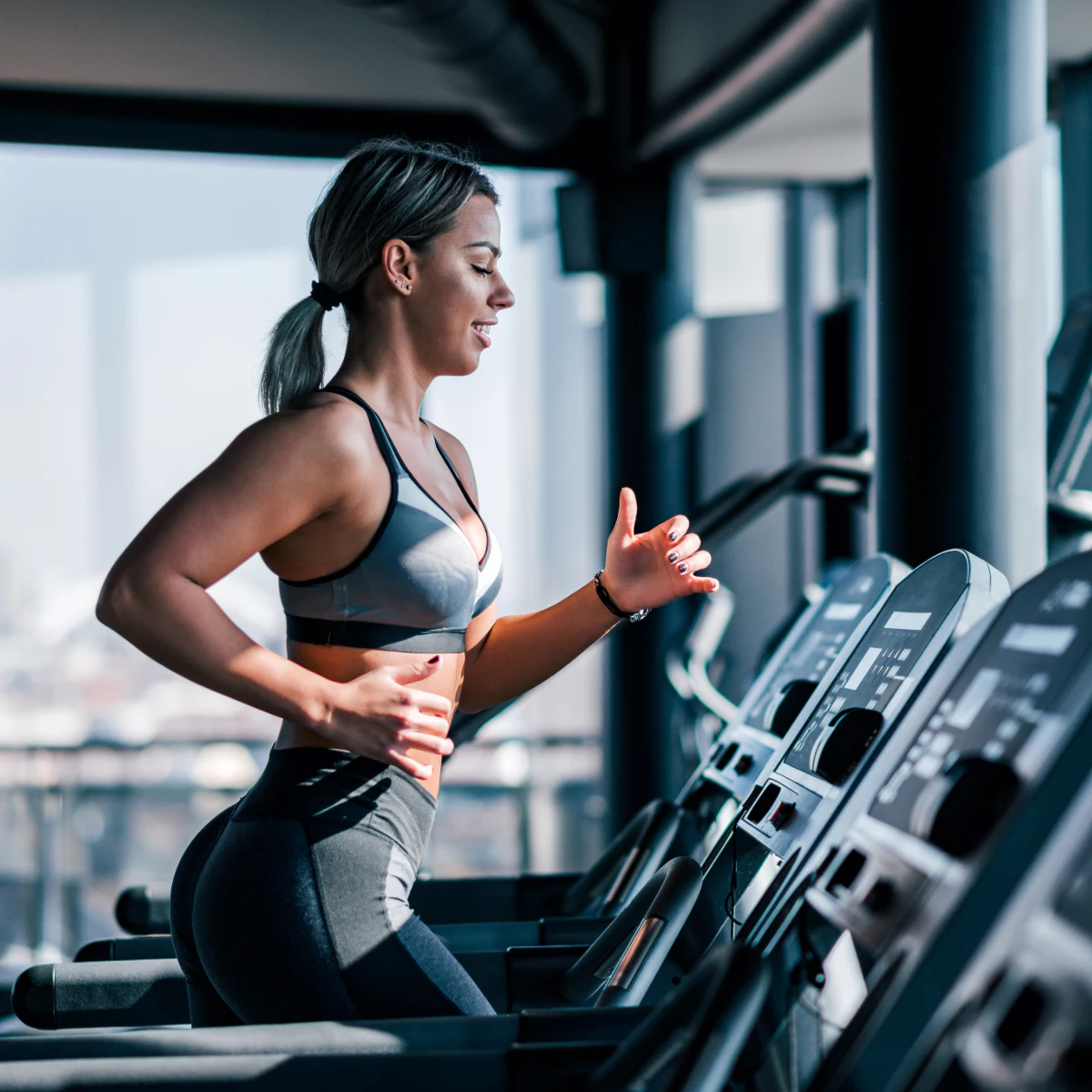 Fitness collection